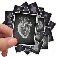 ستكرات اشعة