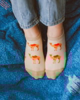 بوكس شرابات قصيرة