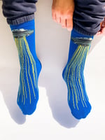 شراب طبق طائر