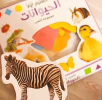 التعليم أولاً - حيوانات