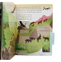 اكتشف الأرض - افتح النافذة واكتشف بأكثر من 60 طية...