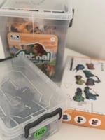 مجموعة مغامرات الأدغال