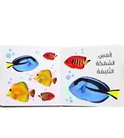 الرؤية، اللمس، الاحساس ( الحيوانات صغير)