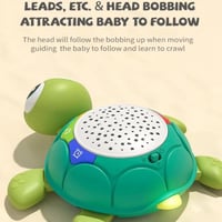 السلحفاة التفاعلية