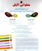 الدعسوقة الذكية - أين القطة ؟