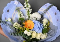 الفراشة الزرقاء