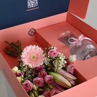 بوكس تنسيق | بينك فلاور