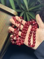 بكلايت توتي بتمليكة