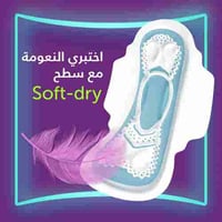 اولويز فوط Aloe Cool للأيام الخفيفة، 10 فوط ماكسي...