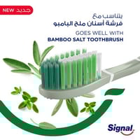 سيجنال معجون أسنان بالأعشاب عناصر الطبيعة 75 مل