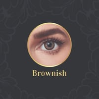 انستيزيا عدسات لاصقة يومية مائل للبنيAnesthesia Da...