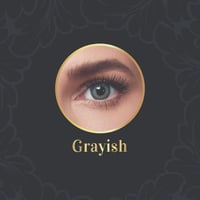 انستيزيا عدسات لاصقة يومية مائل للرماديAnesthesia...