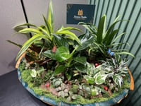 حديقة بوتانيك ريلم الفاخرة