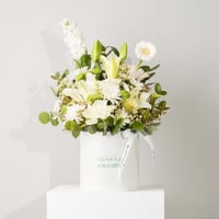 بوكس البياض