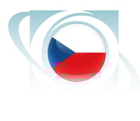 تأشيرة التشييك