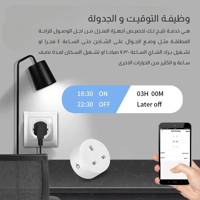 الفيش الذكي