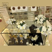 تنسيق الملكة ريفر ولفي