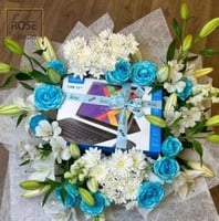 تنسيق هيدرابيونس