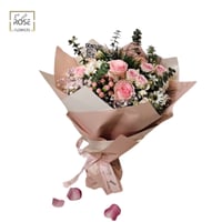 باقة نيقوسيا