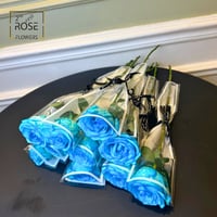 جوري بلو ليف سنقلر