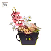 تنسيق كلارنس