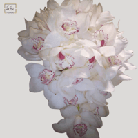 مسكة زفاف روسية