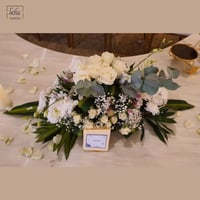 تنسيق راندرز