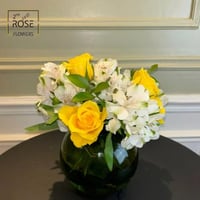 فازة مكسو أوليفر