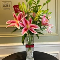 فازة أرمي كازبلانكا