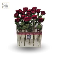 ناهويل بوكس اكرليك