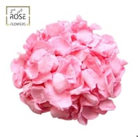 ورد ألوتمنت صناعي