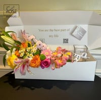 بكج فازة بروميتيك