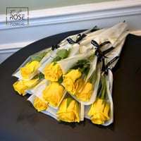 جوري يلو سنقلر