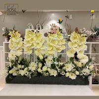 تنسيق اكرليك كوريتيبا‏ بريميوم