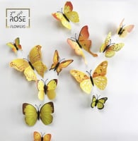 فراشات ملونة بترفلايز