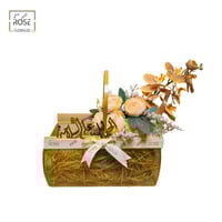 تنسيق بيرنابي