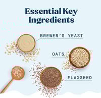 مكمل غذائي للرضاعة الطبيعية من مزيج براوني الرضاعة...