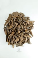 مروكي دبل سوبر vip