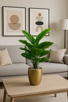 شجرة فليكس مقاس 60 سم - تصميم أنيق ينعش أجواء منزل...