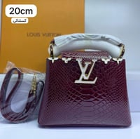 شنطه لويس فيتون