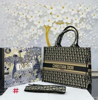 شنطه كرستيان ديور ماستر