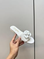 سليبر شانيل