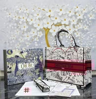 شنطه كرستيان ديور ماستر