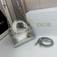 شنطه ديور ماستر فضي