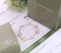 اسواره فانكليف مع الملحقات