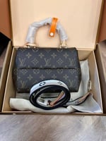 شنطه لويس فيتون ماستر