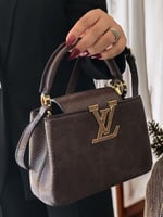 شنطه لويس فيتون