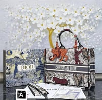 شنطه كرستيان ديور ماستر