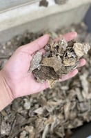 فتنامي طبيعي مستزرع