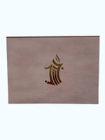 تشكيلة الشيوخ